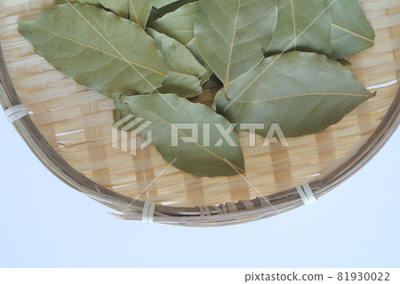 Laurier leaves of spices held in a bamboo basket with copy space 81930022