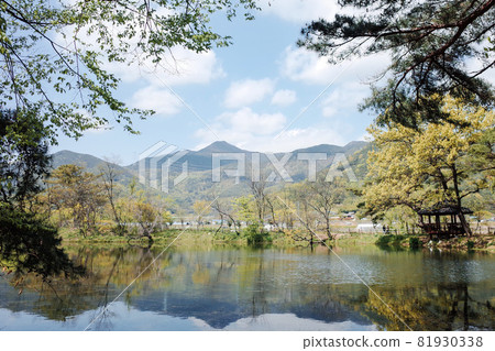A photo taken against the backdrop of a beautiful lake 81930338