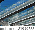 The surface of the water above the aquarium 81930788