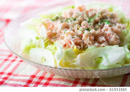 雪蟹松肉生菜芹菜沙拉 81931985