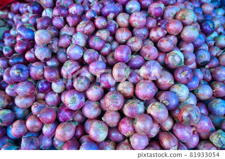 Piles of purple onions(red onions) ready for sale. Piles of purple onions(red onions) ready for sale. 81933054
