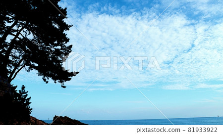 有樹木的藍色松亭海 有樹木的藍色松亭海 81933922