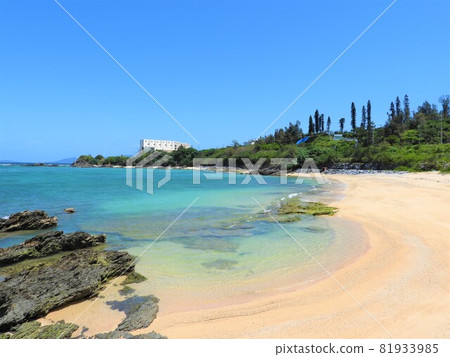 沖繩海2021 81933985