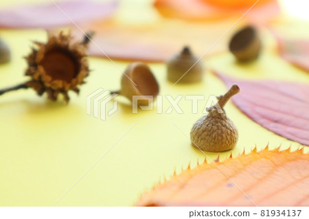 秋天的形象（各種帽子） 81934137