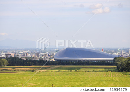 Sapporo Hitsujigaoka Observation Deck Sheep 81934379