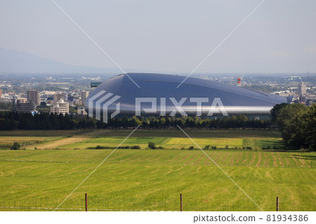 Sapporo Hitsujigaoka Observation Deck Sheep 81934386