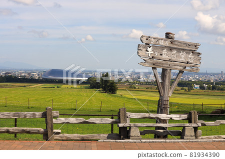 Sapporo Hitsujigaoka Observation Deck Sheep 81934390