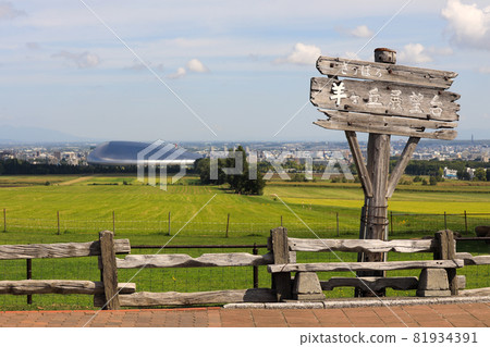 札幌市立高岡展望台羊 81934391