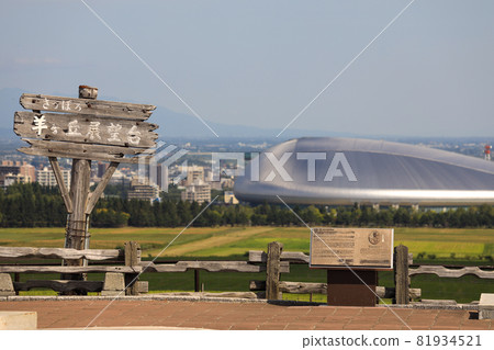 Sapporo Hitsujigaoka Observation Deck Sheep Sapporo Hitsujigaoka Observation Deck Sheep 81934521