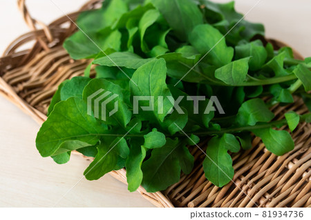 arugula  81934736