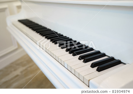keys of white grand piano and potted house tree. keys of white grand piano and potted house tree. 81934974