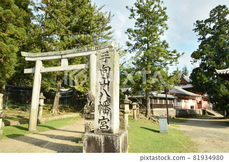 田守山八幡宮[奈良縣奈良市雜誌町] 81934980