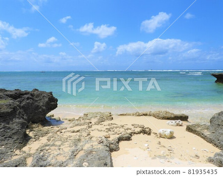 沖繩海2021 沖繩海2021 81935435