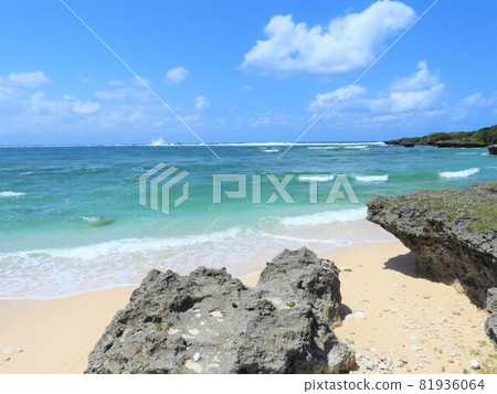 沖繩海2021 81936064