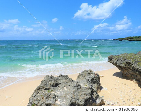 沖繩海2021 沖繩海2021 81936066