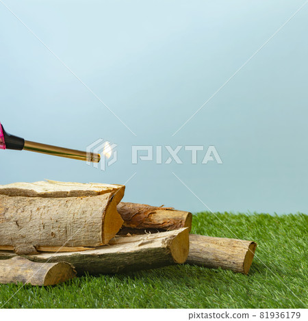 Firewood on the lawn, camping, outdoors, etc. Firewood on the lawn, camping, outdoors, etc. 81936179