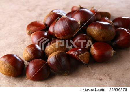 京都產丹波板栗 81936276
