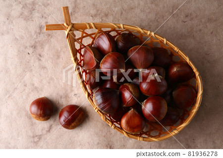 京都產丹波板栗 京都產丹波板栗 81936278
