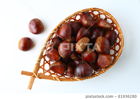 京都產丹波板栗 81936280