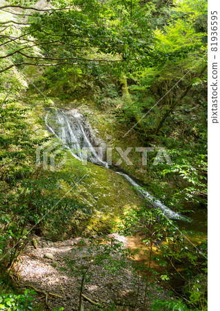 [Aichi Prefecture] Atera-no-Nanataki 81936595