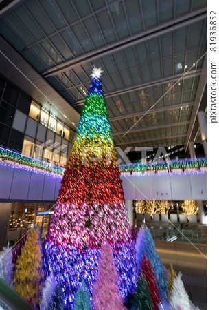 Christmas tree  81936852