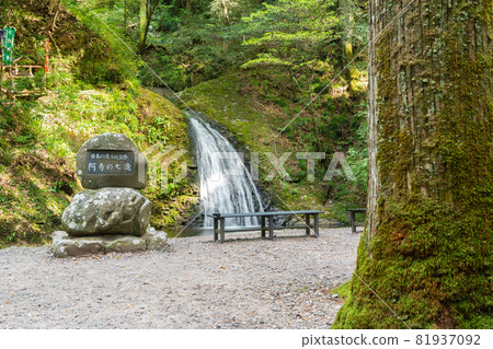 [Aichi Prefecture] Atera-no-Nanataki 81937092