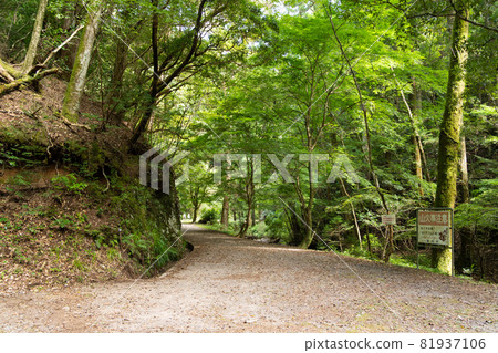 [Aichi Prefecture] Atera-no-Nanataki 81937106