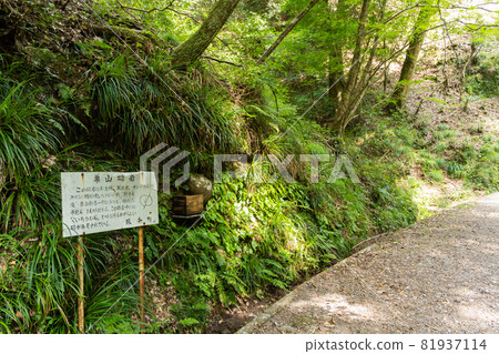 [Aichi Prefecture] Atera-no-Nanataki 81937114