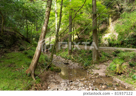 [Aichi Prefecture] Atera-no-Nanataki 81937122