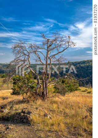 National Nature Reserve Mohelen Snake Steppe, Czech Republic 81937270