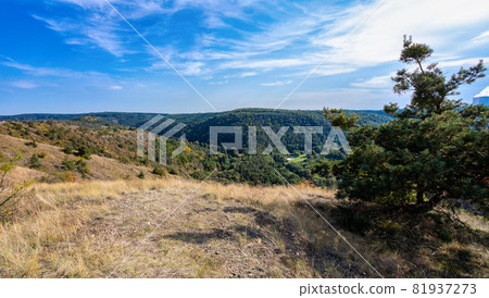 National Nature Reserve Mohelen Snake Steppe, Czech Republic National Nature Reserve Mohelen Snake Steppe, Czech Republic 81937273