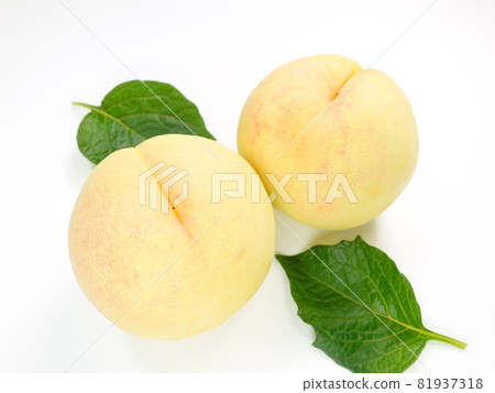 White peach peach peach peach peach White peach peach peach peach peach 81937318