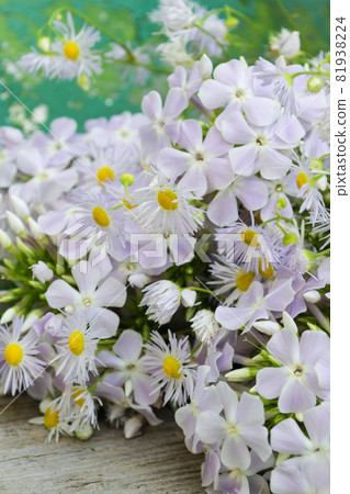 bouquet of dasies on shabby turquoise background. Concept of freedom. close up bouquet of dasies on shabby turquoise background. Concept of freedom. close up 81938224