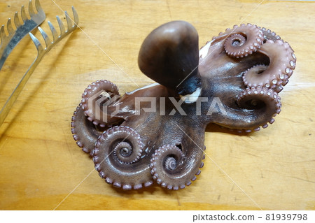 Boiled octopus Boiled octopus 81939798