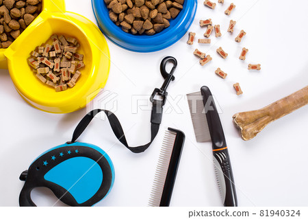Collar, blue bowl with feed, leash, delicacy, combs and brushes for dogs. Isolated on white background 81940324