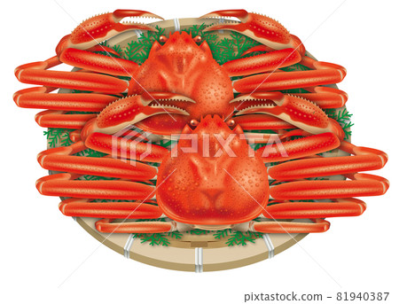 Snow crab illustration 81940387