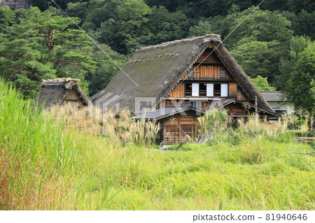 Thatched roof house 24 81940646