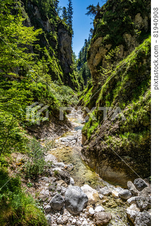 The wild-romantic Almbachklamm in the Berchtesgaden Land is a popular excursion destination in Bavaria, Germany 81940908