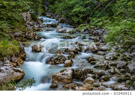 Magic Forest Zauberwald at Lake Hintersee with Creek Ramsauer Ache. National Park Berchtesgadener Land, Germany Magic Forest Zauberwald at Lake Hintersee with Creek Ramsauer Ache. National Park Berchtesgadener Land, Germany 81940911