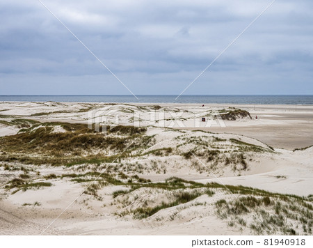 Sand dune landscape called Ladder to heaven on the island of Amrum, Germany. 81940918