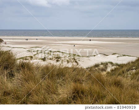 Sand dune landscape called Ladder to heaven on the island of Amrum, Germany. 81940919