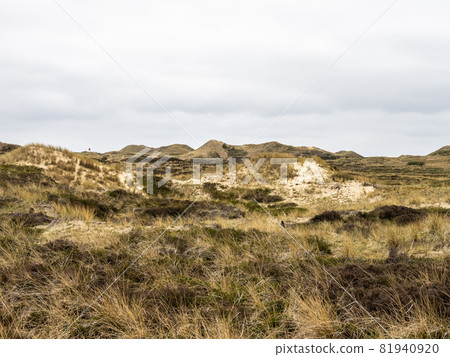 Sand dune landscape called Ladder to heaven on the island of Amrum, Germany. Sand dune landscape called Ladder to heaven on the island of Amrum, Germany. 81940920