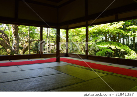 清晨參觀京都市大原之裡的寶泉院框架庭園 81941387