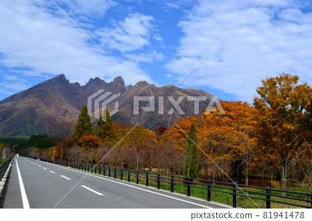 南阿蘇貓山周邊的秋景 南阿蘇貓山周邊的秋景 81941478
