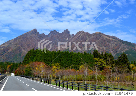 南阿蘇貓山周邊的秋景 南阿蘇貓山周邊的秋景 81941479