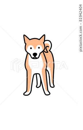 Shiba Inu front 81942404