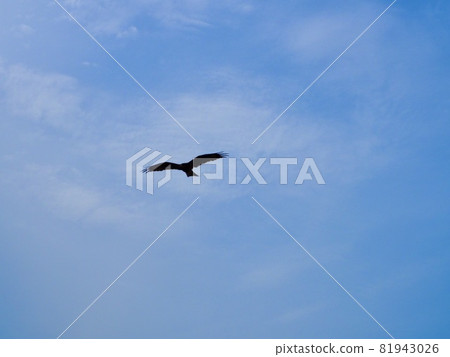 Tobi Tonbi Taka Tobi Tonbi Taka 81943026