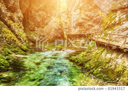 Vintgar gorge, Slovenia 81943317