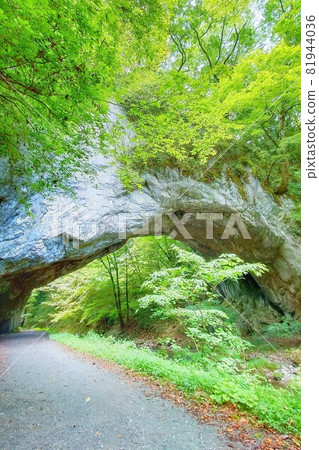 [Hiroshima Prefecture] Forest bathing power spot Taishaku Gorge 81944036