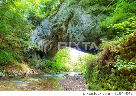 [Hiroshima Prefecture] Forest bathing power spot Taishaku Gorge 81944042